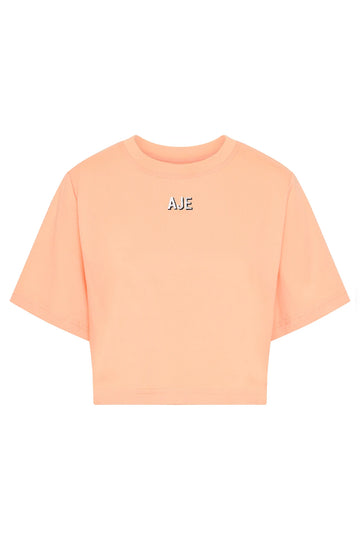AJE BEAM APRICOT LOGO CROP